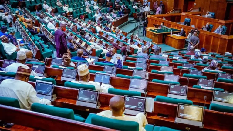 National Assembly Boils: Reps Pass State Police Bill as Opposition Stage a Walkout